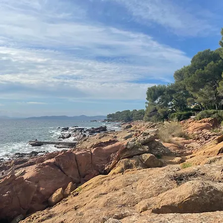 Charming Loft With Sea View